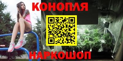 шишки Кулебаки