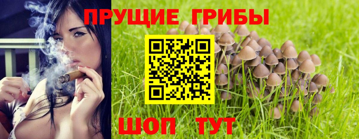 Галлюциногенные грибы ЛСД  наркотики  Галлюциногенные грибы мицелий  Кировск 